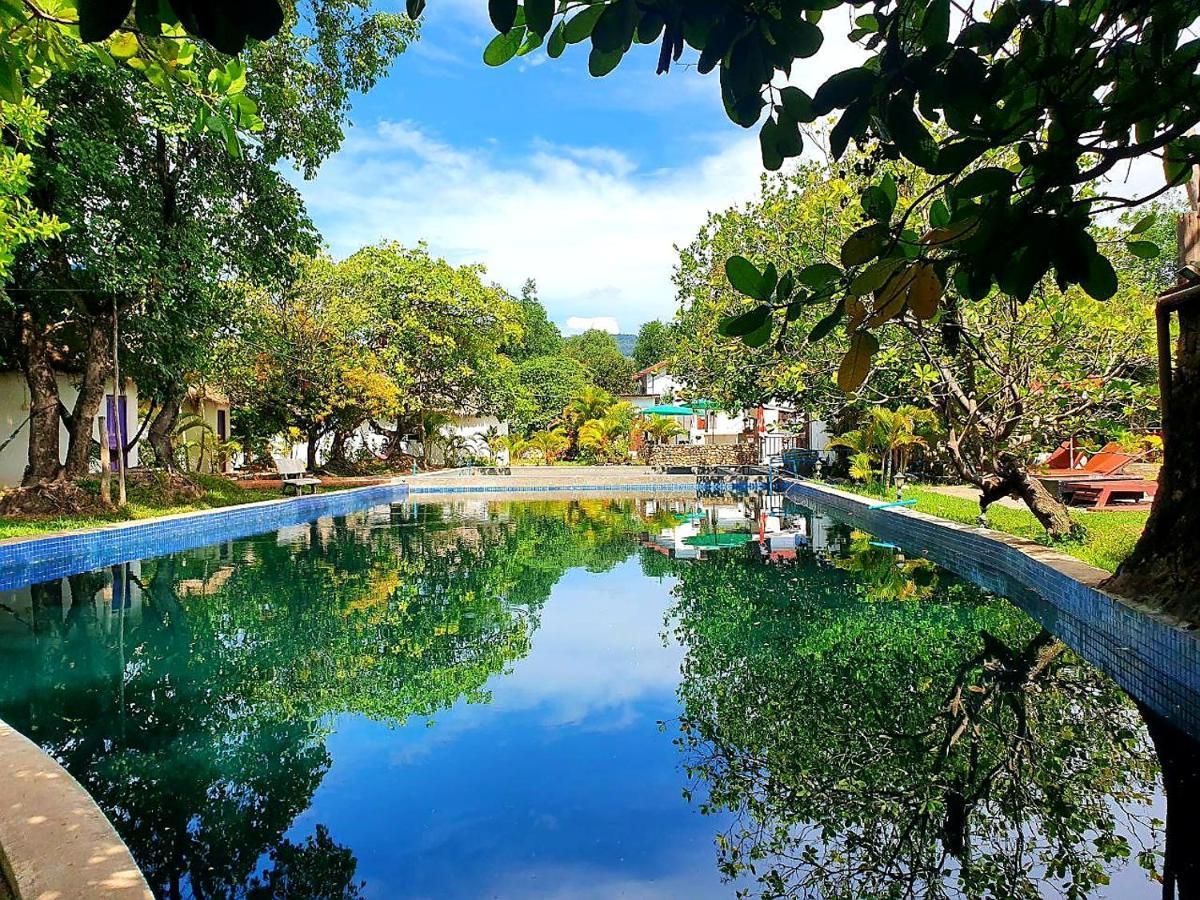 Bohemiaz Resort&Spa Kampot Exterior foto